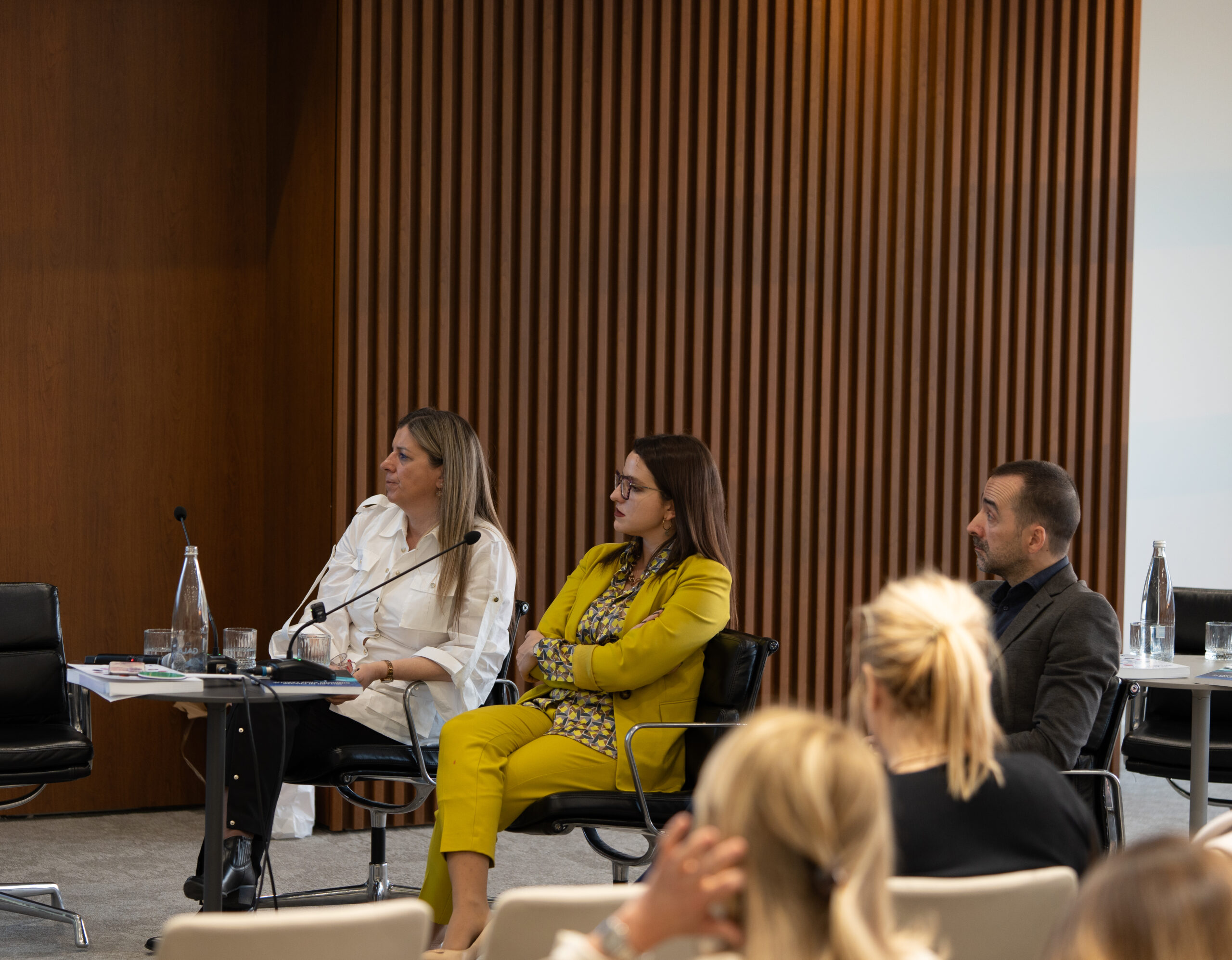 Treći TDM sastanak za inflamatorne bolesti creva