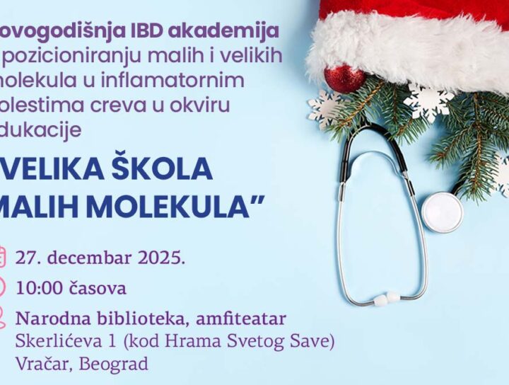 Novogodišnja IBD akademija
