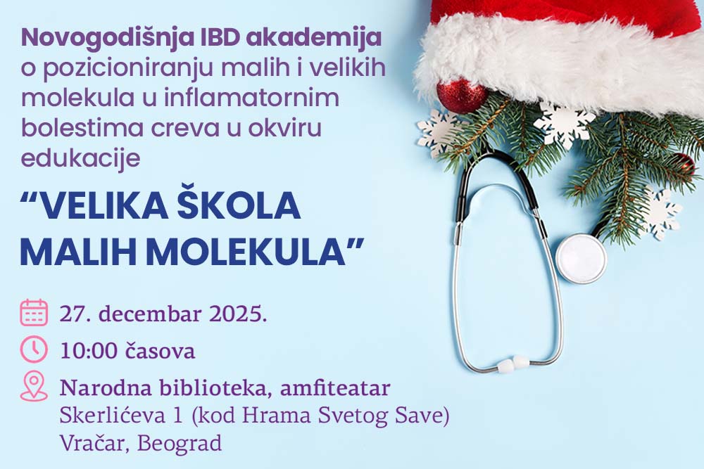 Novogodišnja IBD akademija
