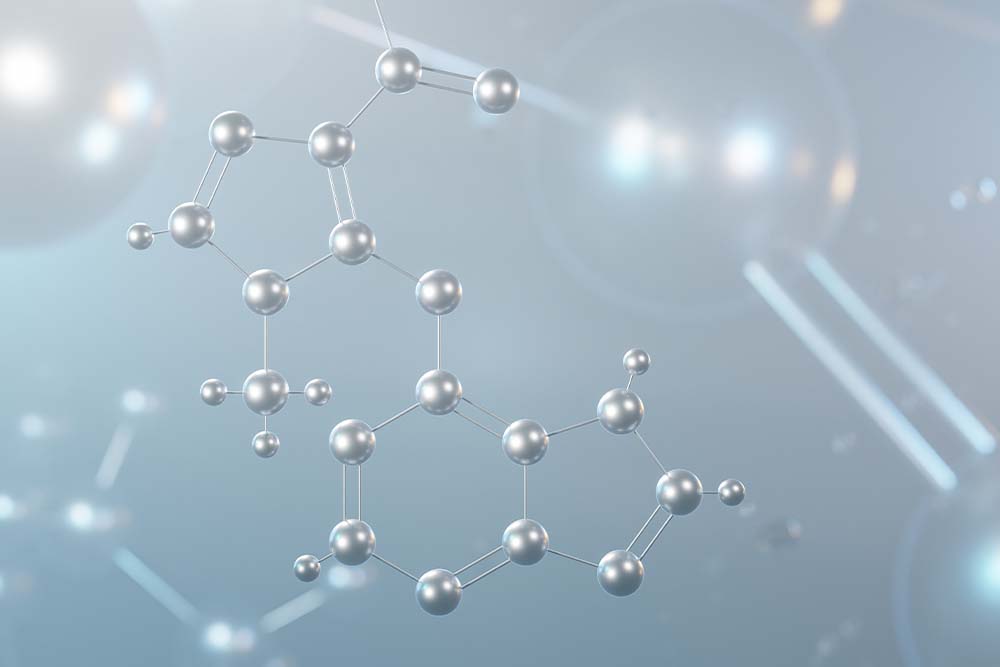 Novogodišnja IBD akademija